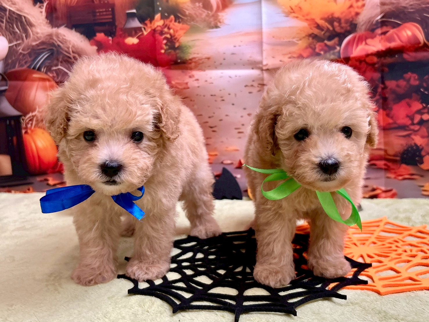 赤ちゃん写真3-3