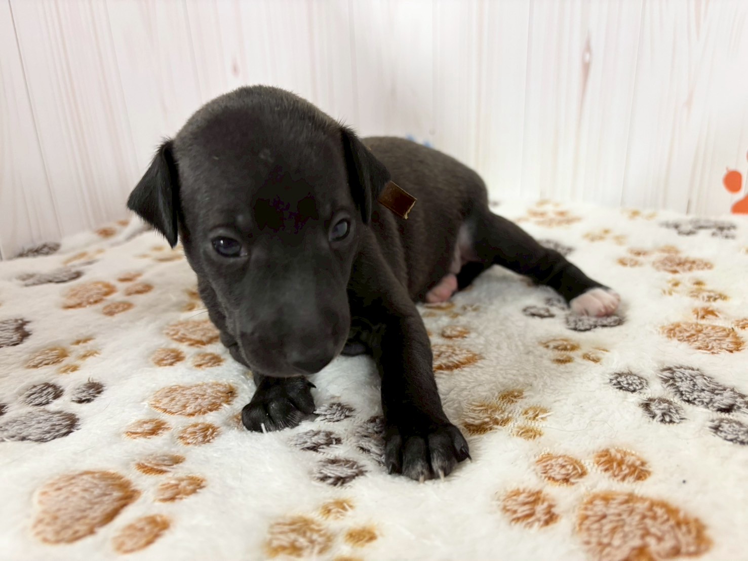 赤ちゃん写真2-1