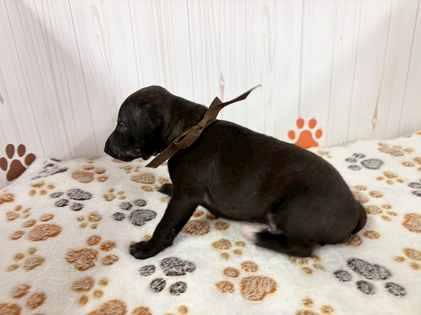 赤ちゃん写真2-2