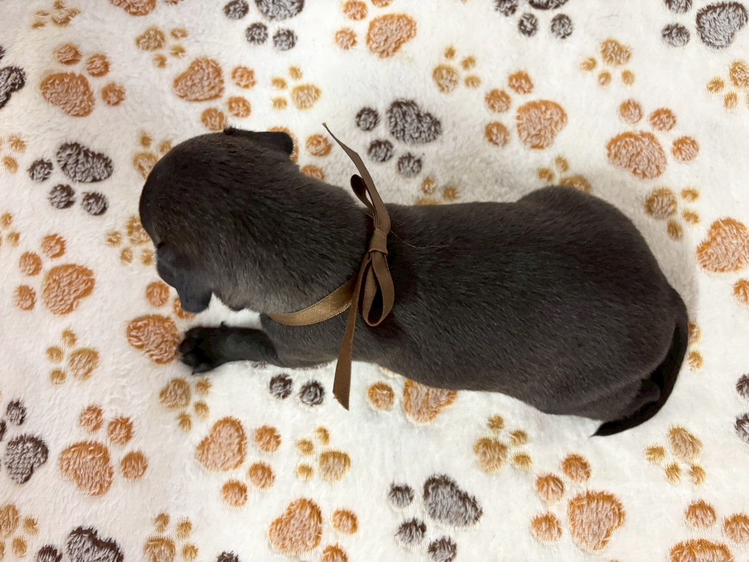 赤ちゃん写真2-3