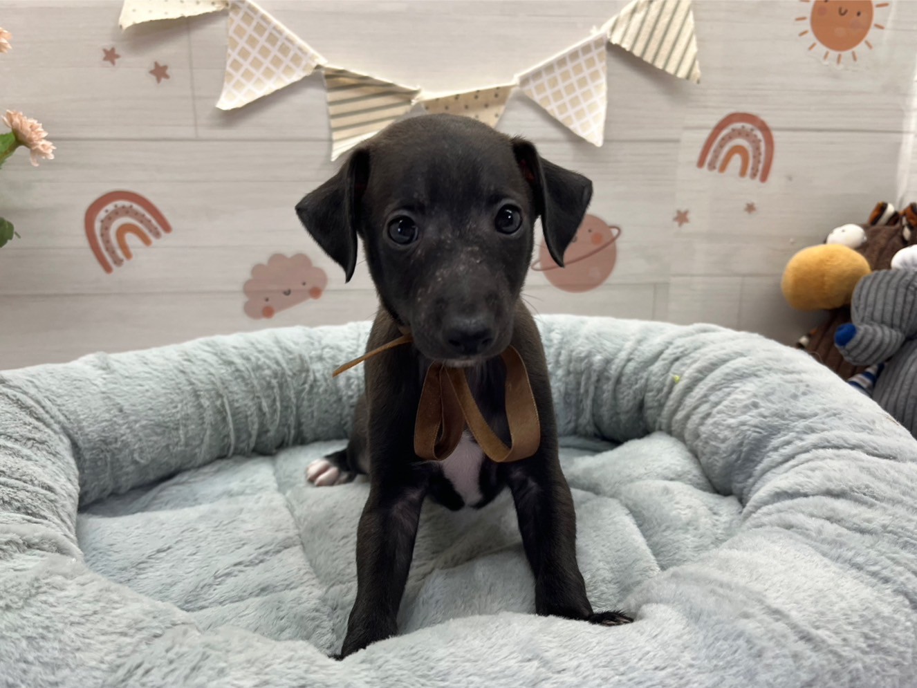 赤ちゃん写真3-1