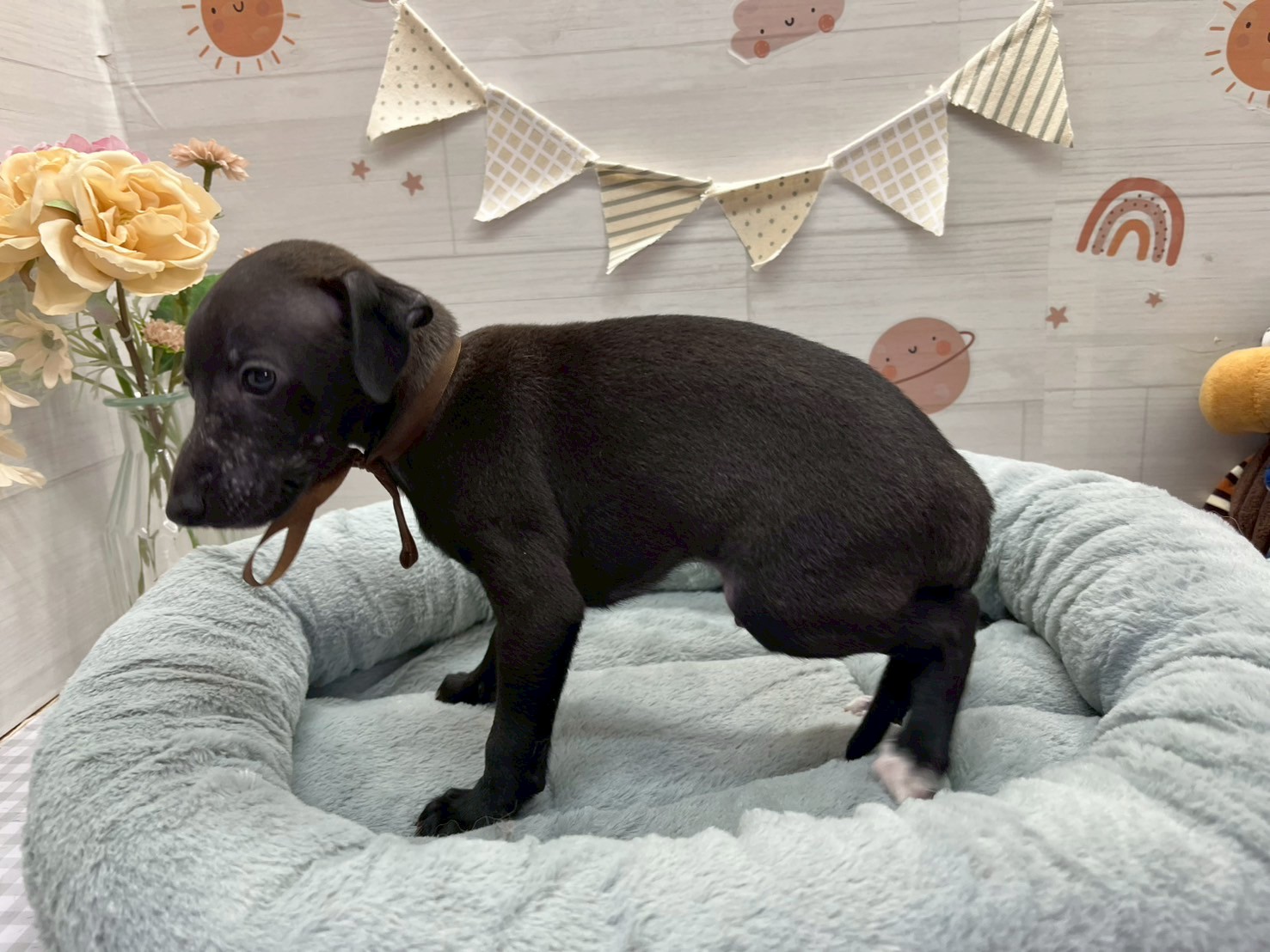 赤ちゃん写真3-2