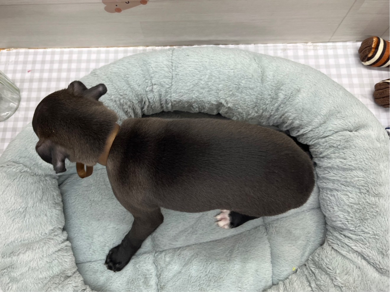 赤ちゃん写真3-3