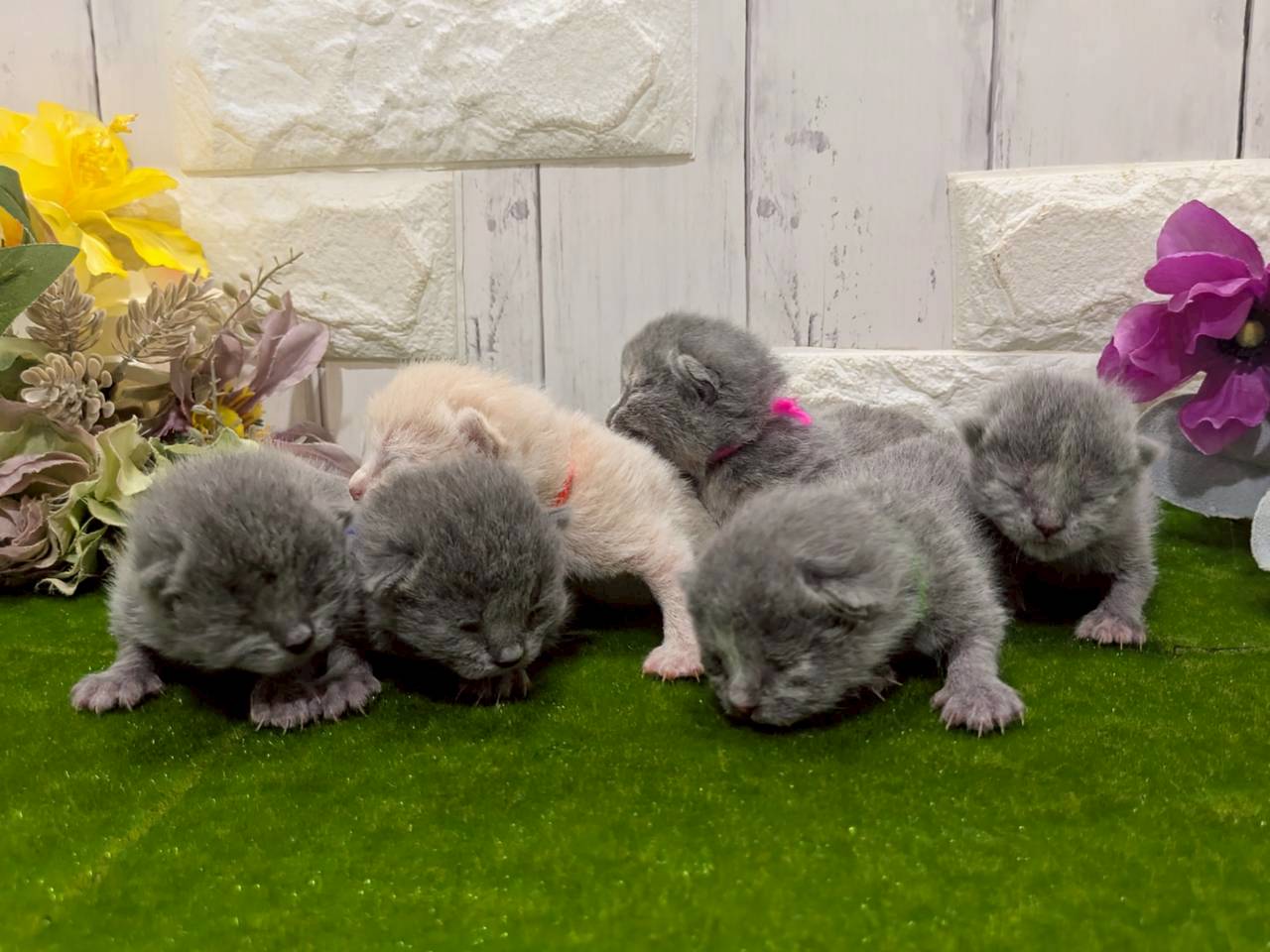 赤ちゃん写真1-3