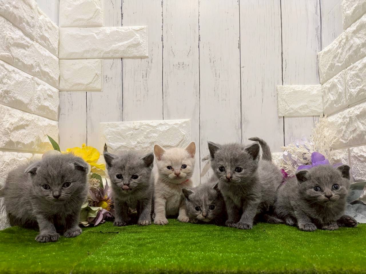 赤ちゃん写真2-3