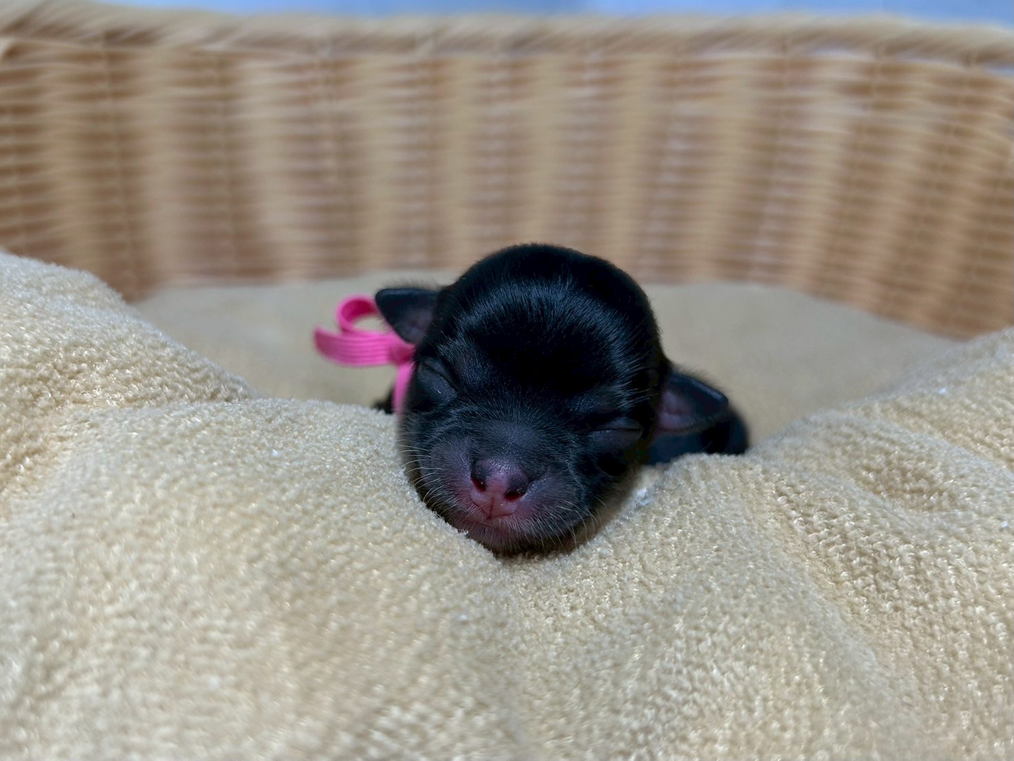 赤ちゃん写真1-1