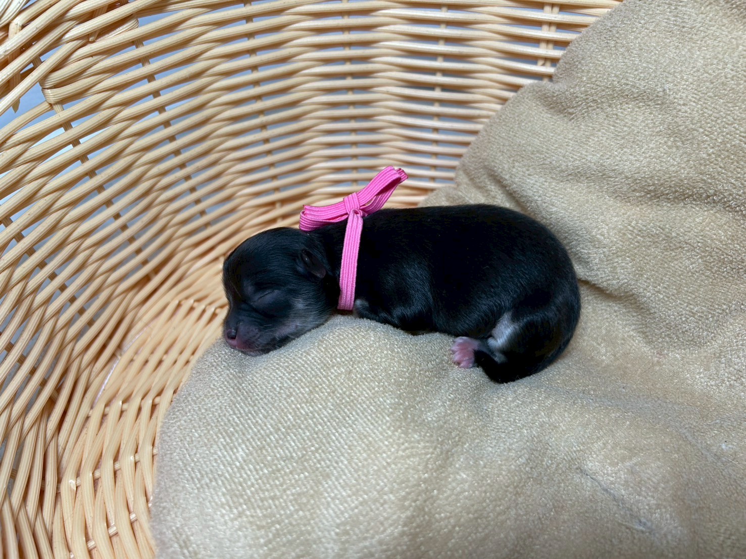 赤ちゃん写真1-2