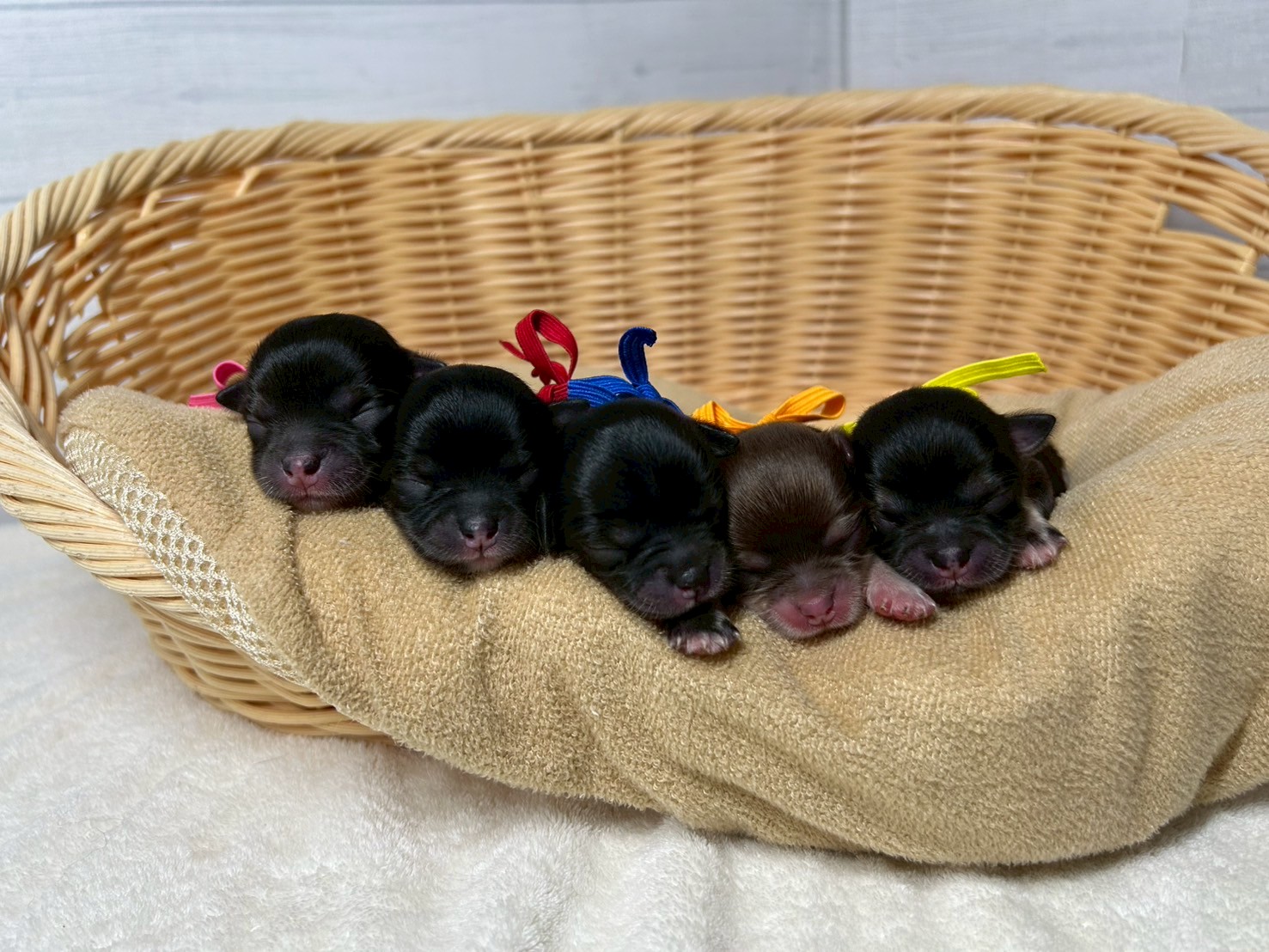 赤ちゃん写真1-3