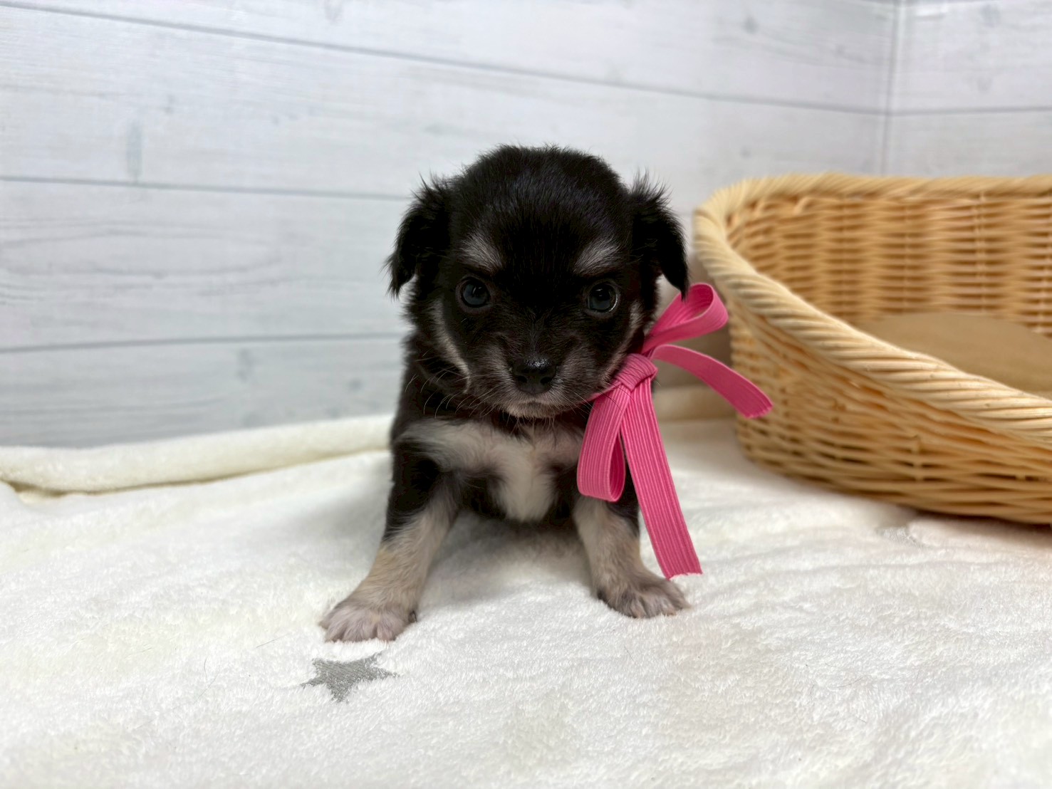 赤ちゃん写真2-1