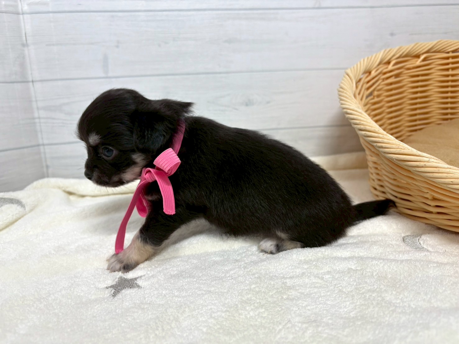 赤ちゃん写真2-2