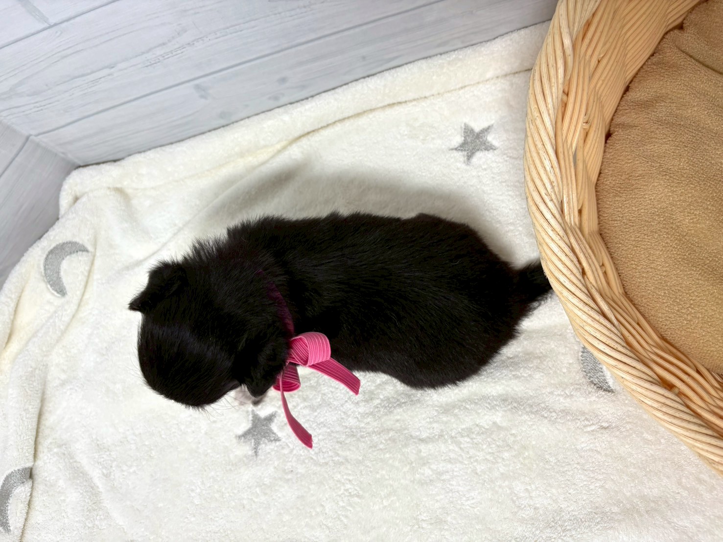 赤ちゃん写真2-3