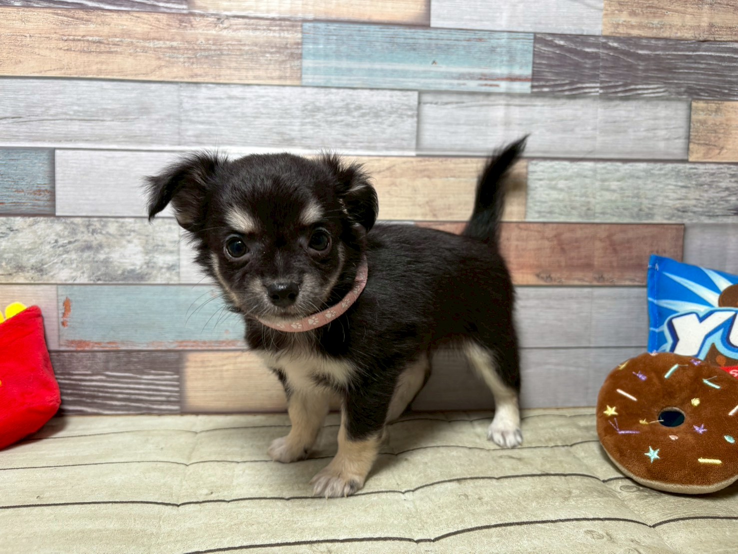 赤ちゃん写真3-1