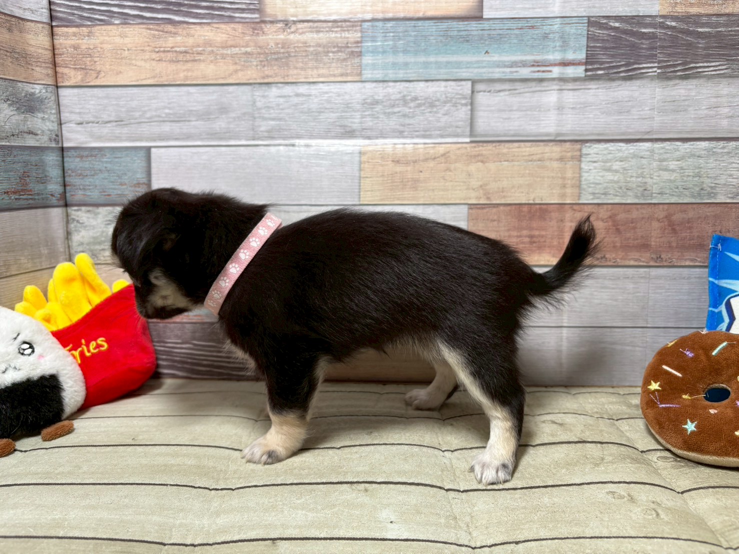 赤ちゃん写真3-2