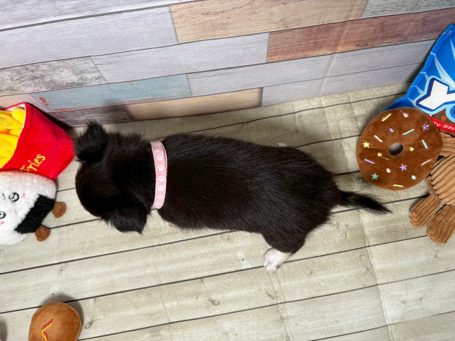 赤ちゃん写真3-3