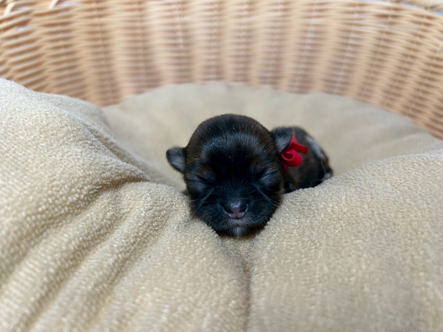 赤ちゃん写真1-1