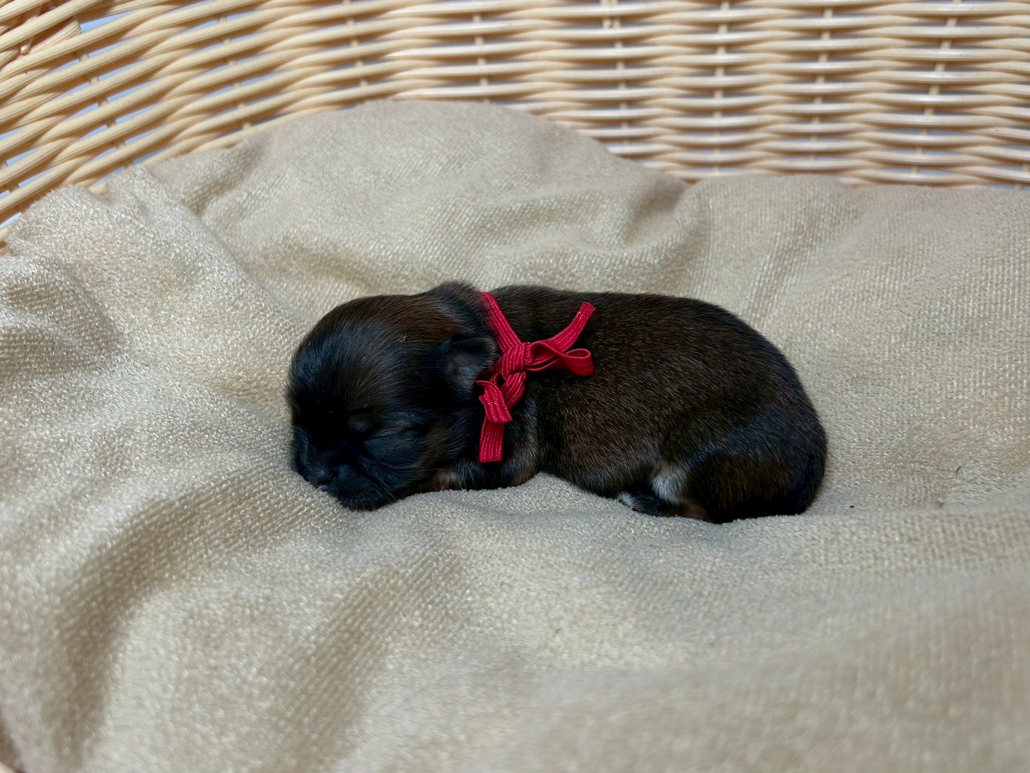 赤ちゃん写真1-2