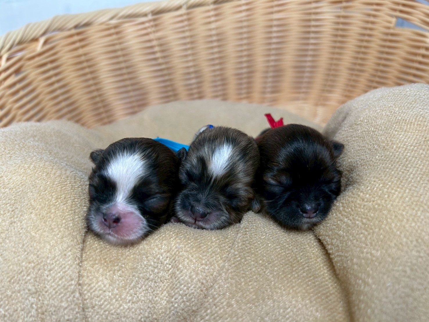赤ちゃん写真1-3