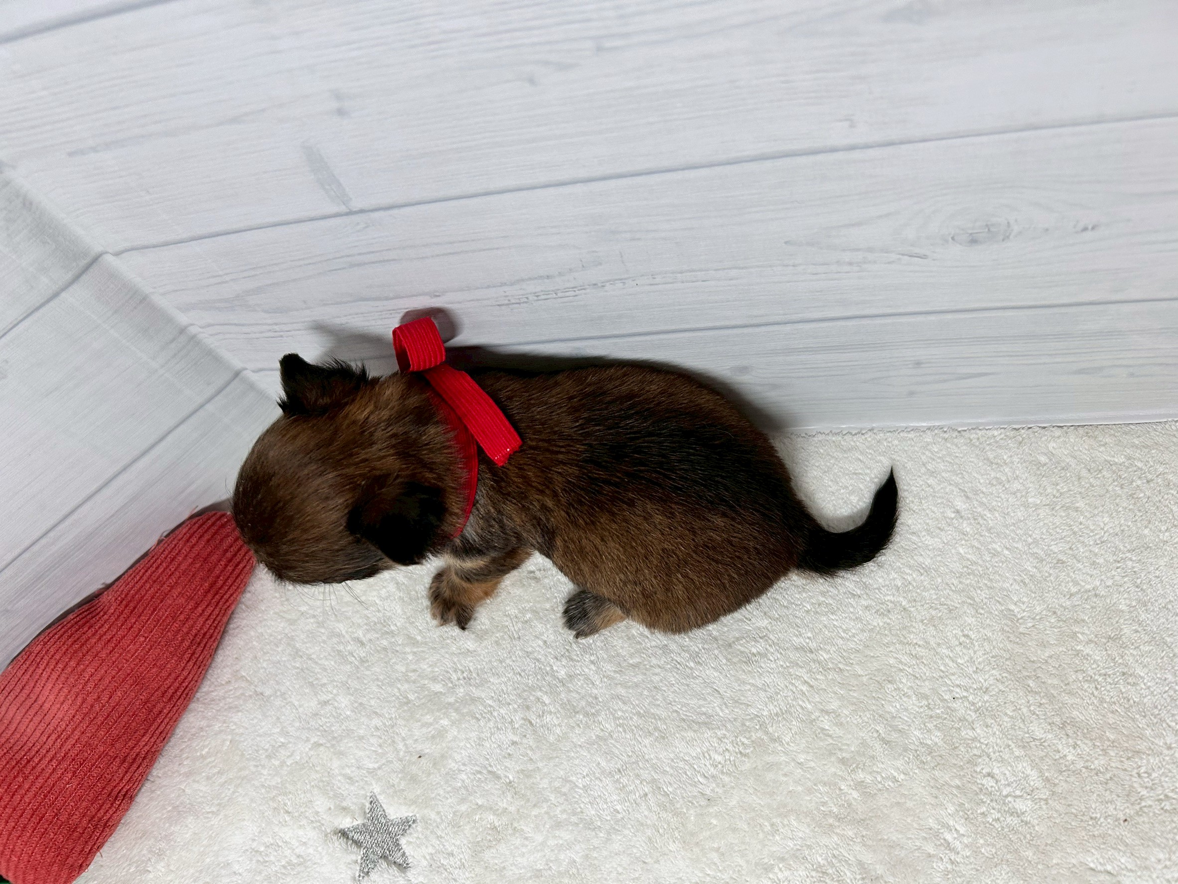 赤ちゃん写真2-3