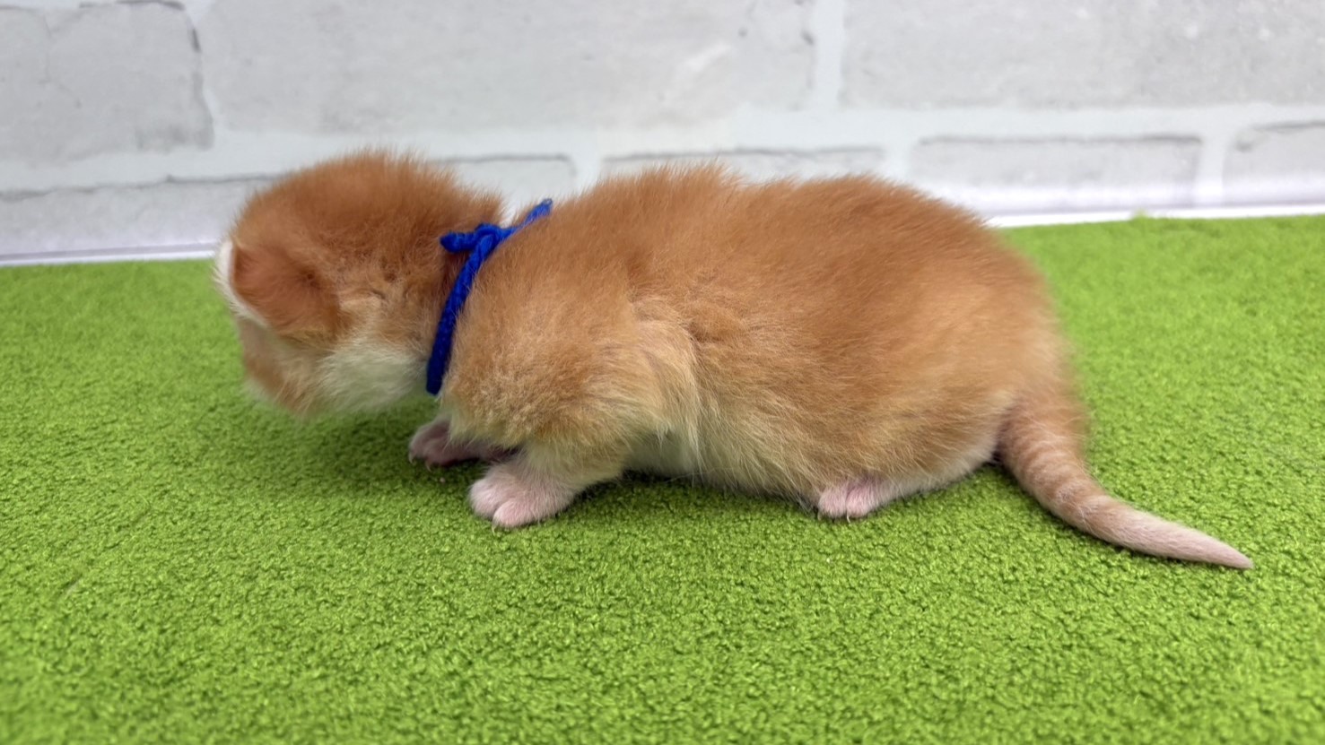 赤ちゃん写真1-2