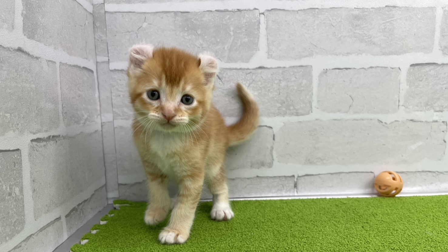 赤ちゃん写真2-1