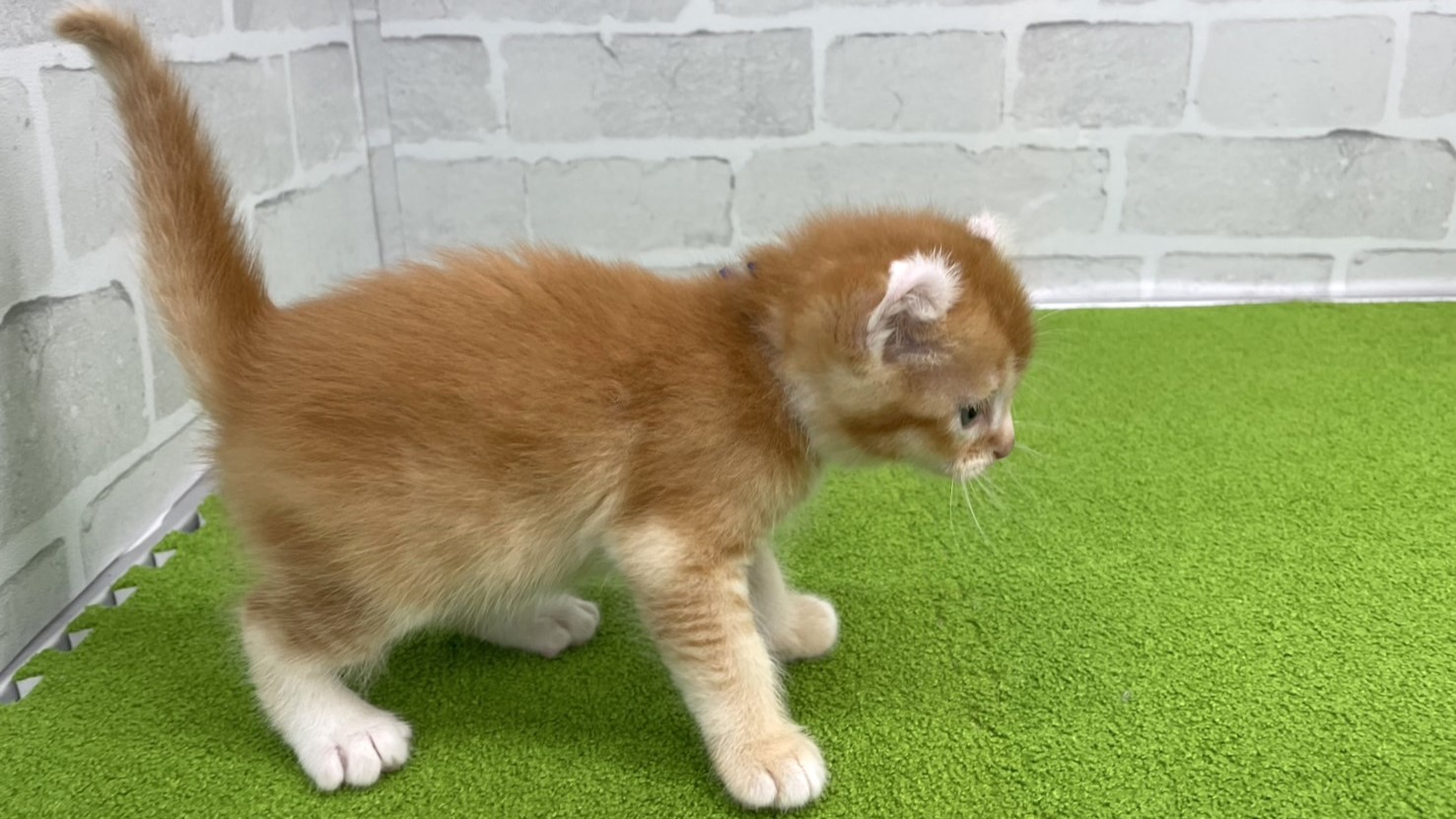 赤ちゃん写真2-2