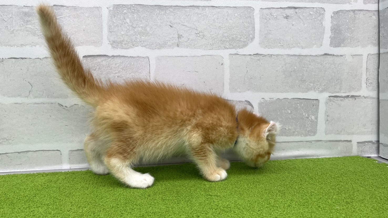 赤ちゃん写真3-2