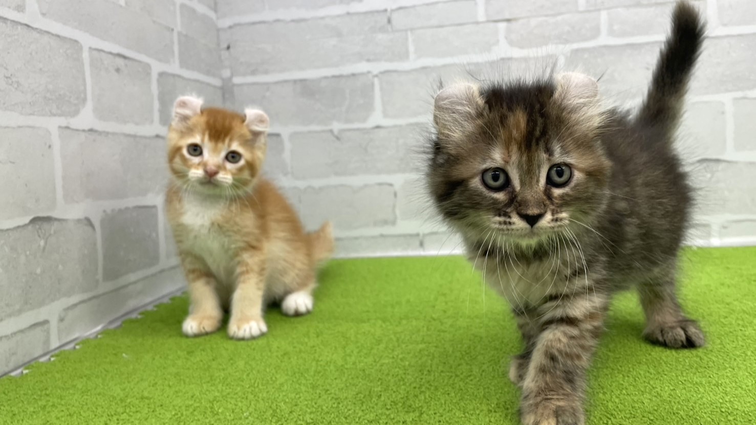 赤ちゃん写真3-3