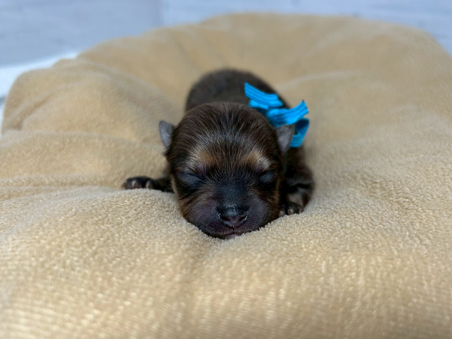 赤ちゃん写真1-1