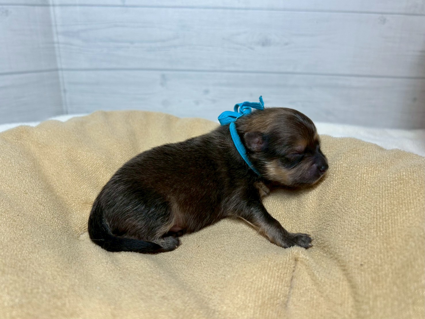 赤ちゃん写真1-2