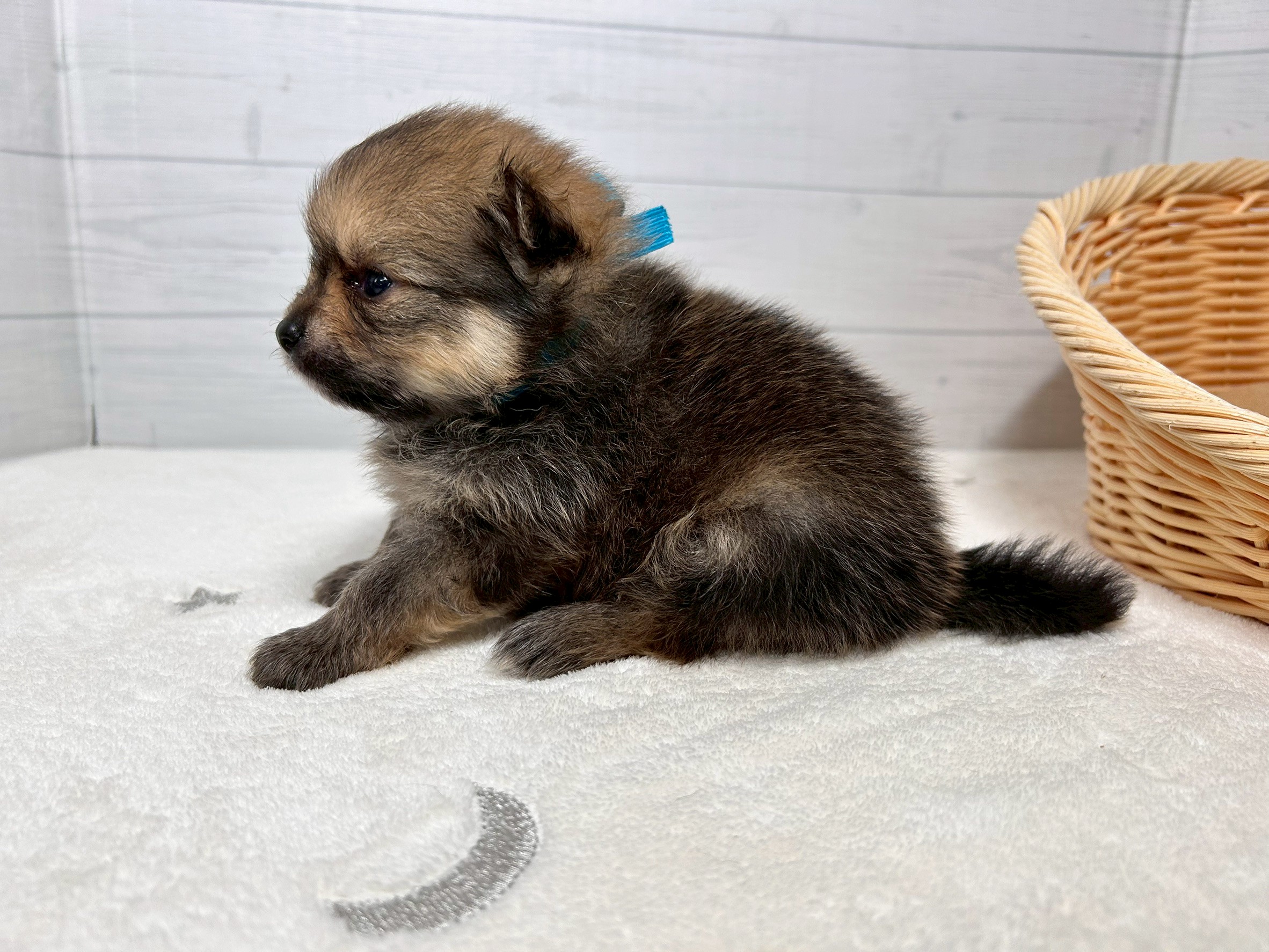 赤ちゃん写真2-2