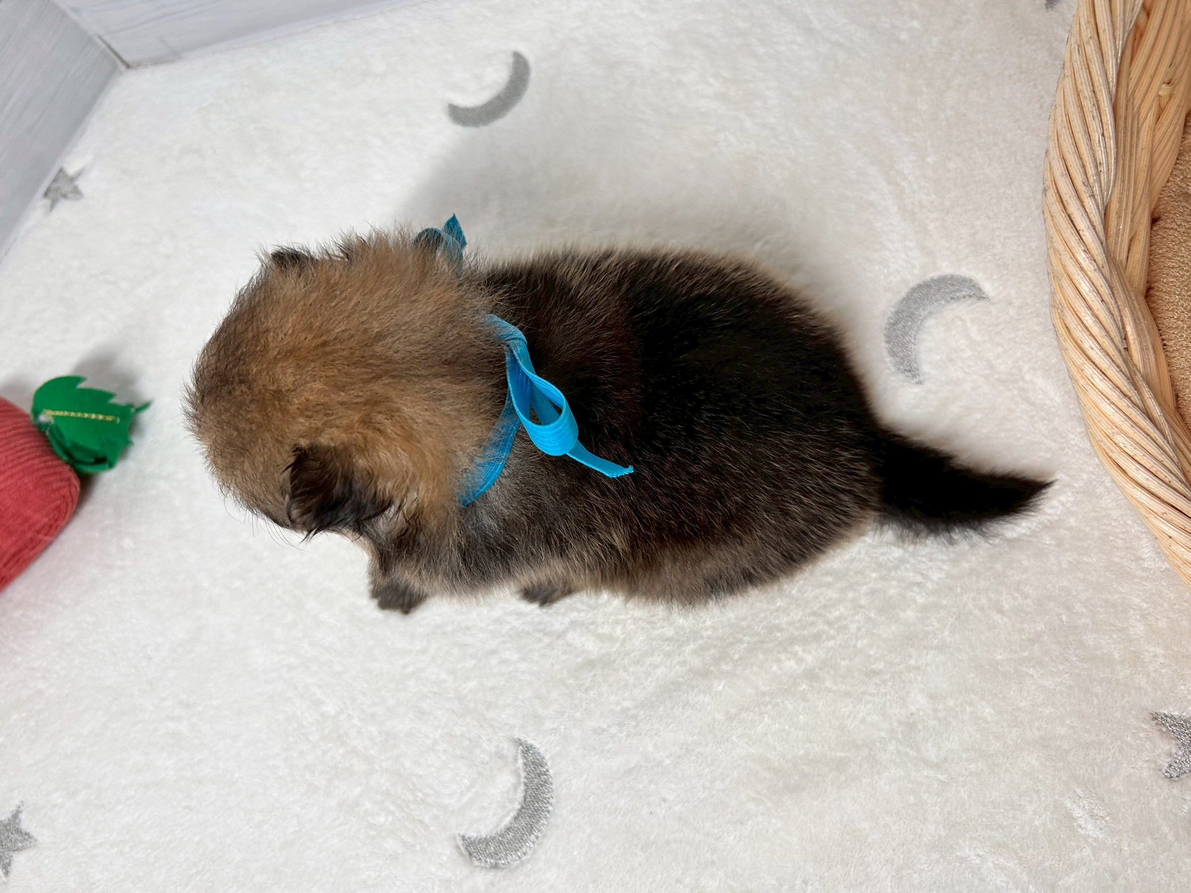 赤ちゃん写真2-3