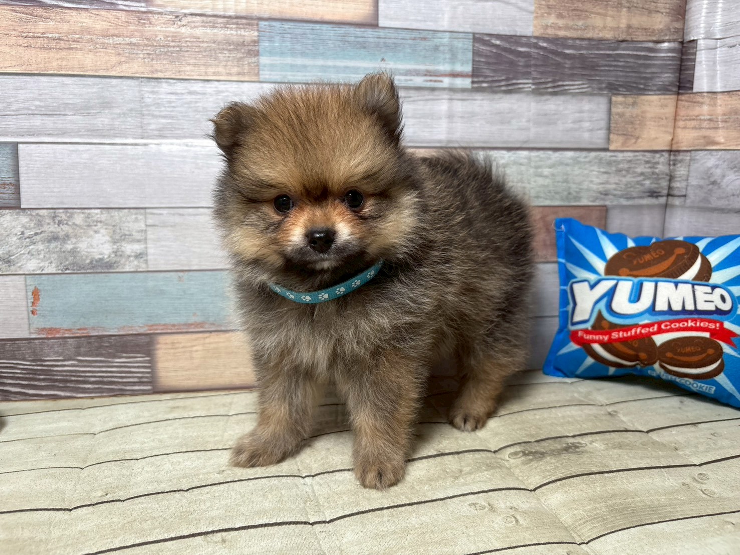 赤ちゃん写真3-1