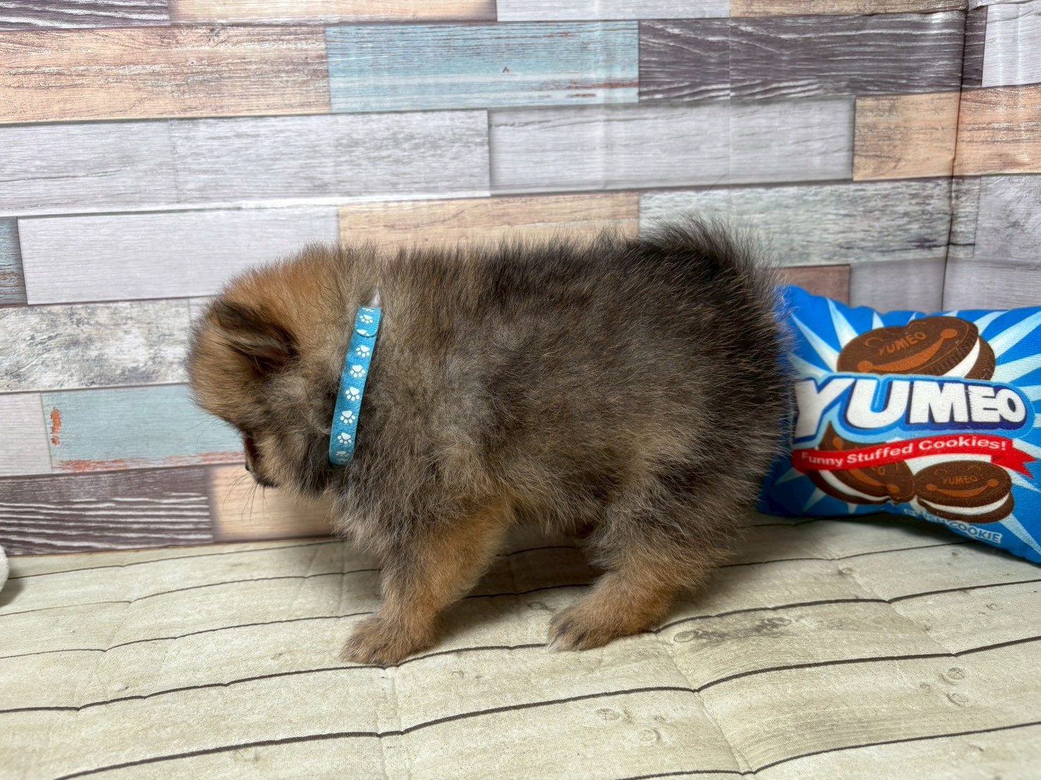 赤ちゃん写真3-2