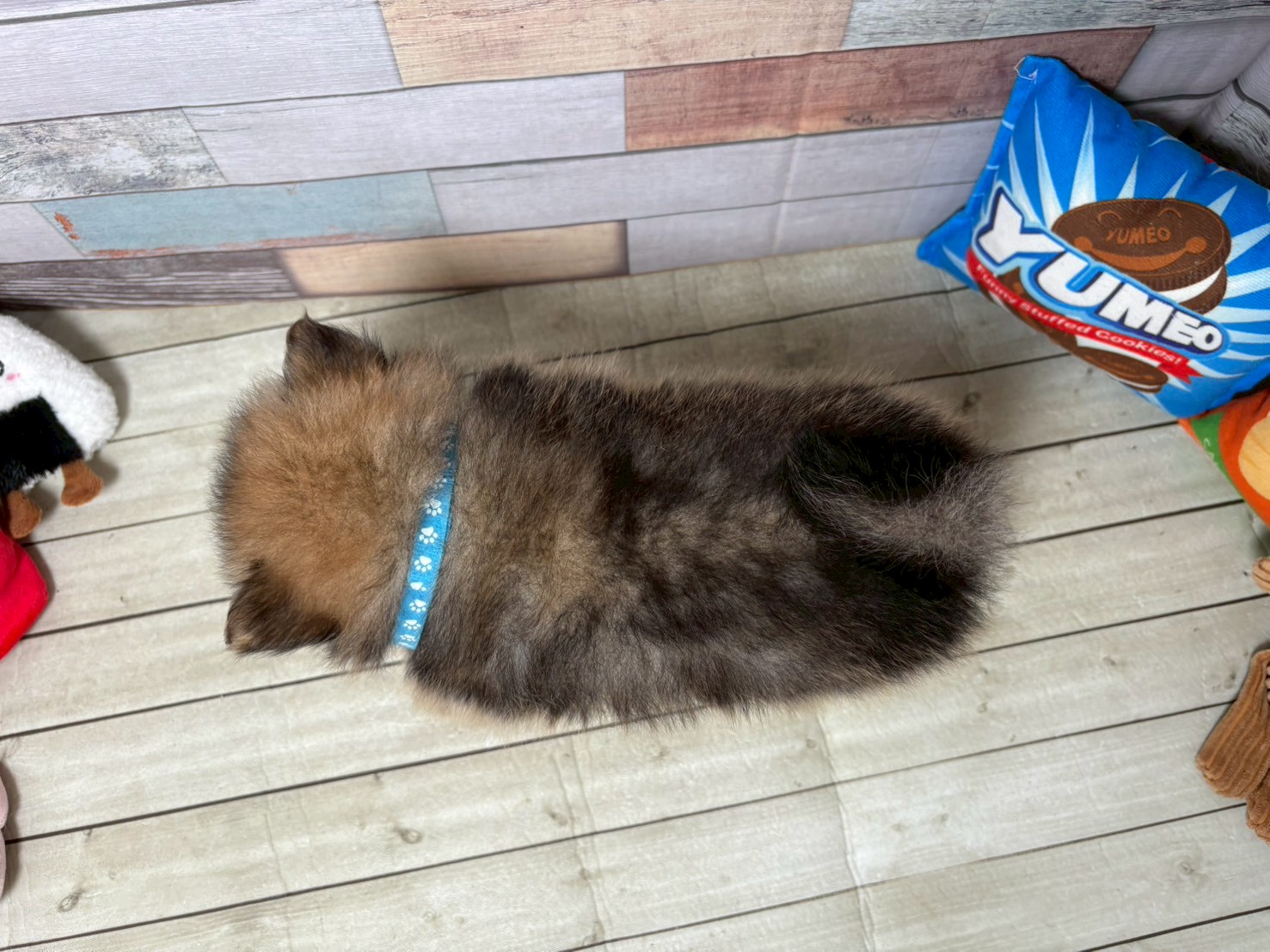 赤ちゃん写真3-3