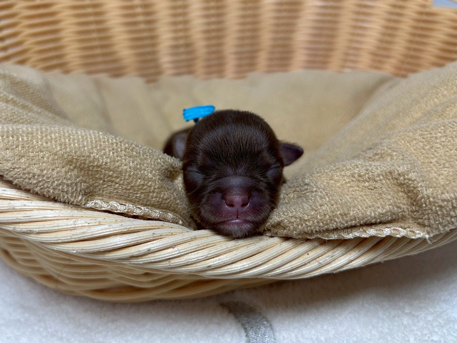 赤ちゃん写真1-1