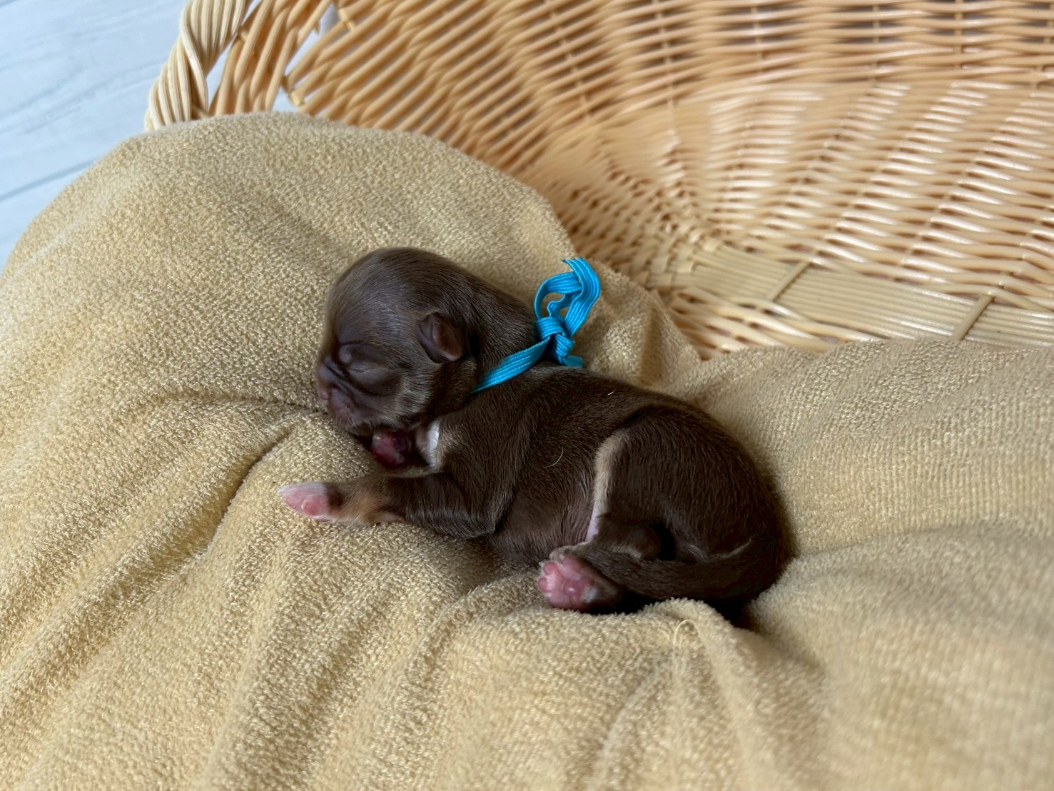 赤ちゃん写真1-2