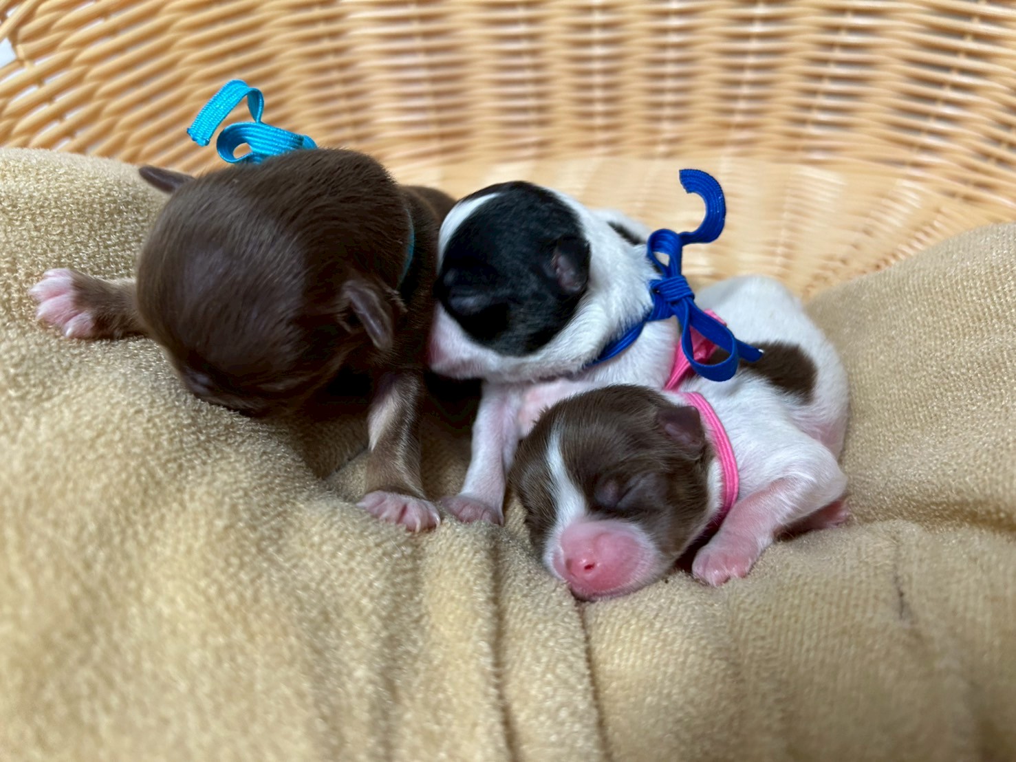 赤ちゃん写真1-3