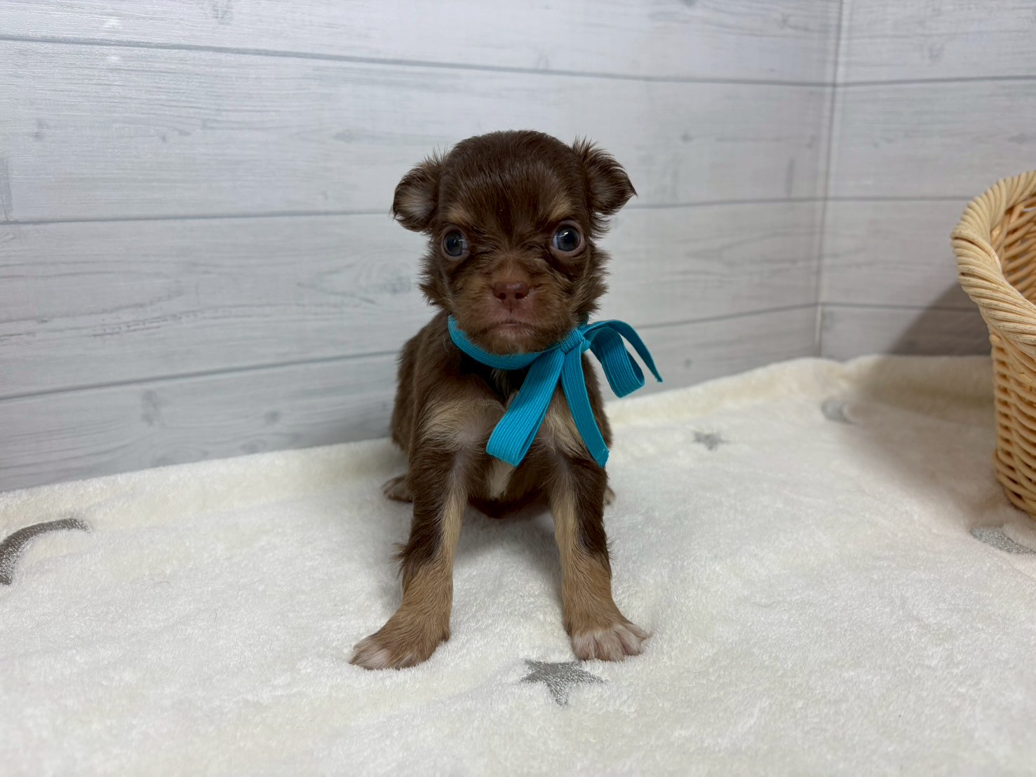 赤ちゃん写真2-1