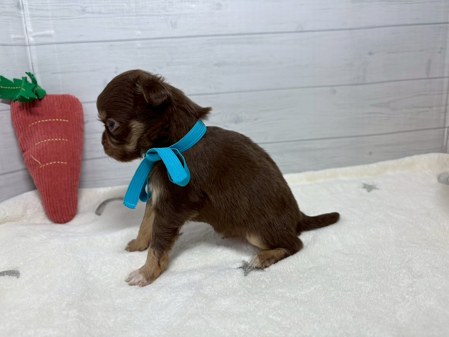 赤ちゃん写真2-2