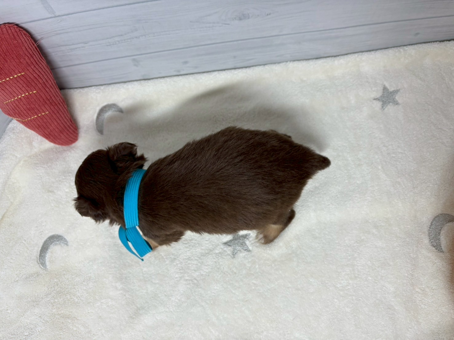 赤ちゃん写真2-3