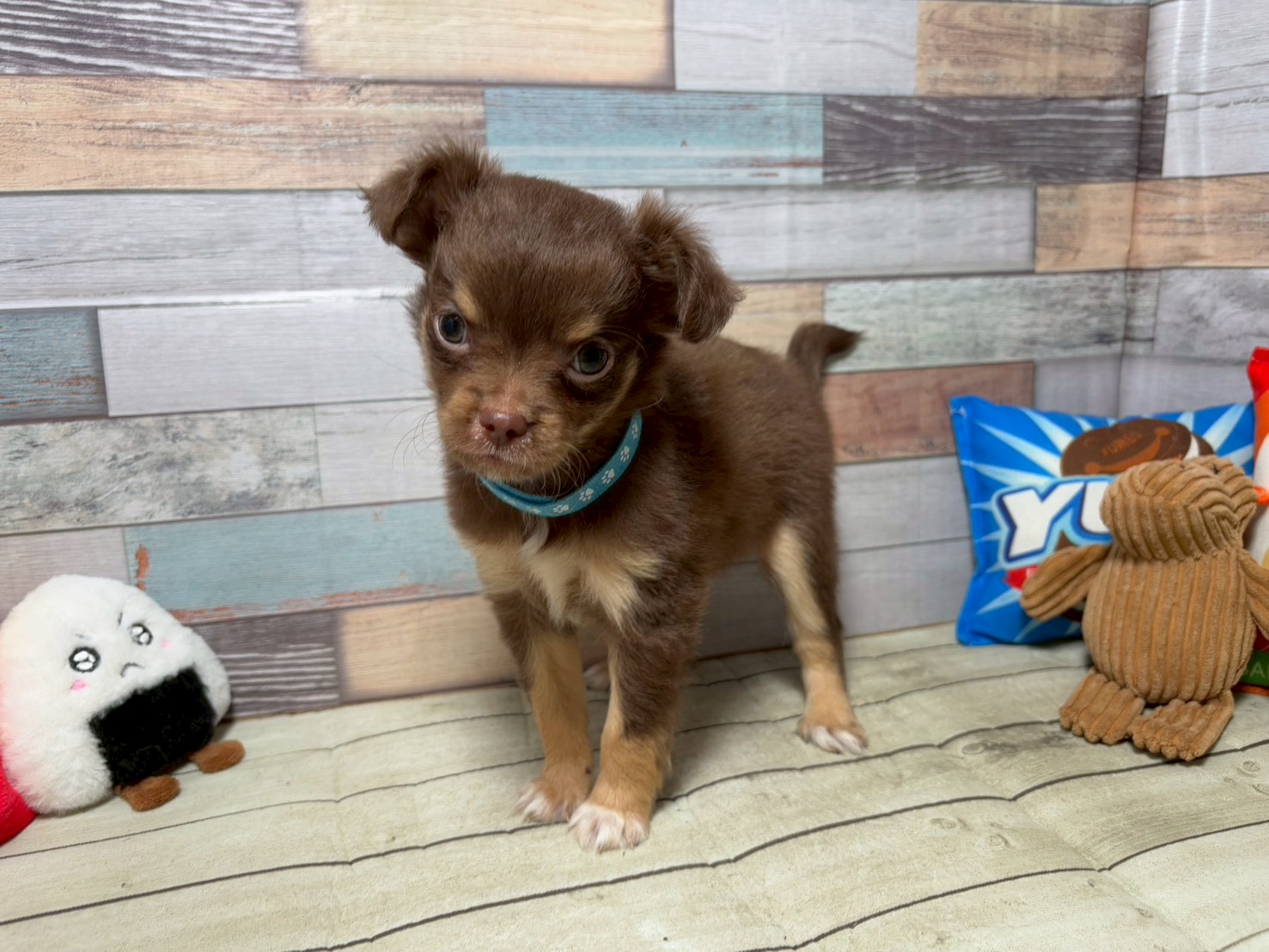 赤ちゃん写真3-1