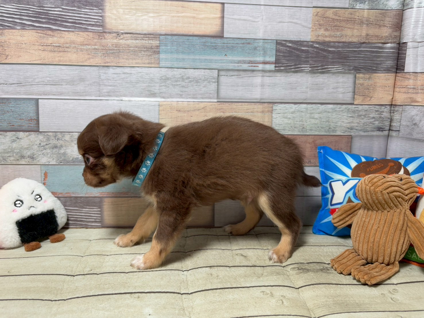 赤ちゃん写真3-2