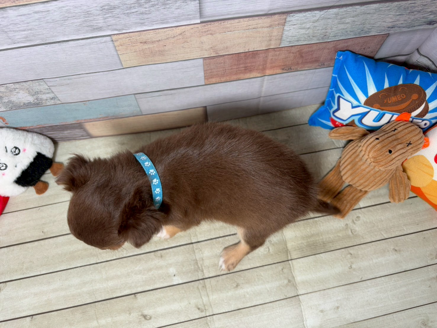 赤ちゃん写真3-3