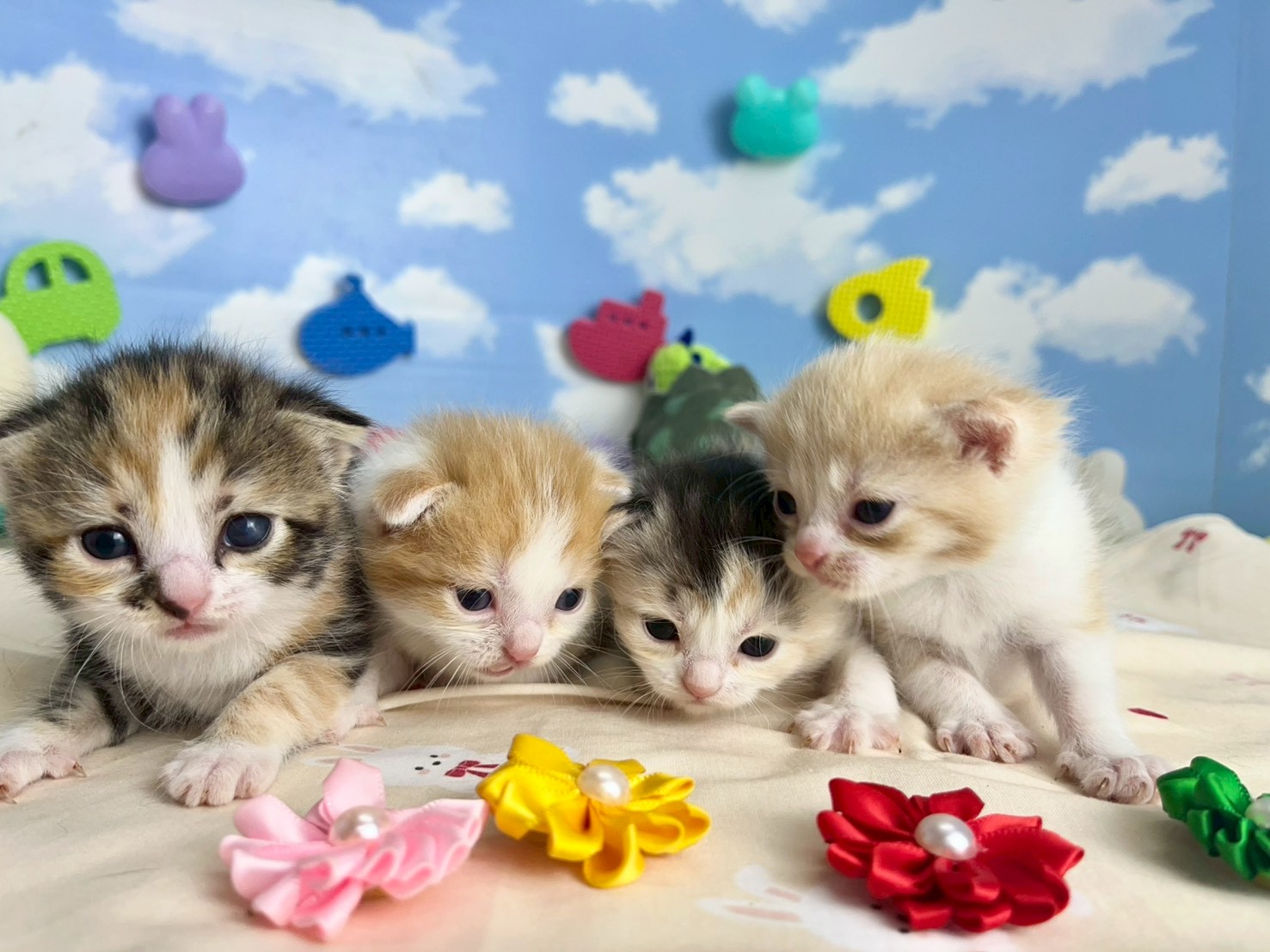 赤ちゃん写真1-3