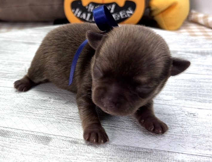 赤ちゃん写真1-1