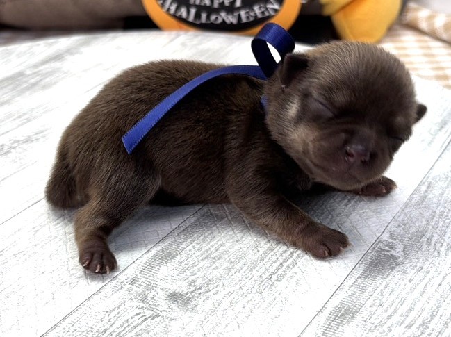 赤ちゃん写真1-2