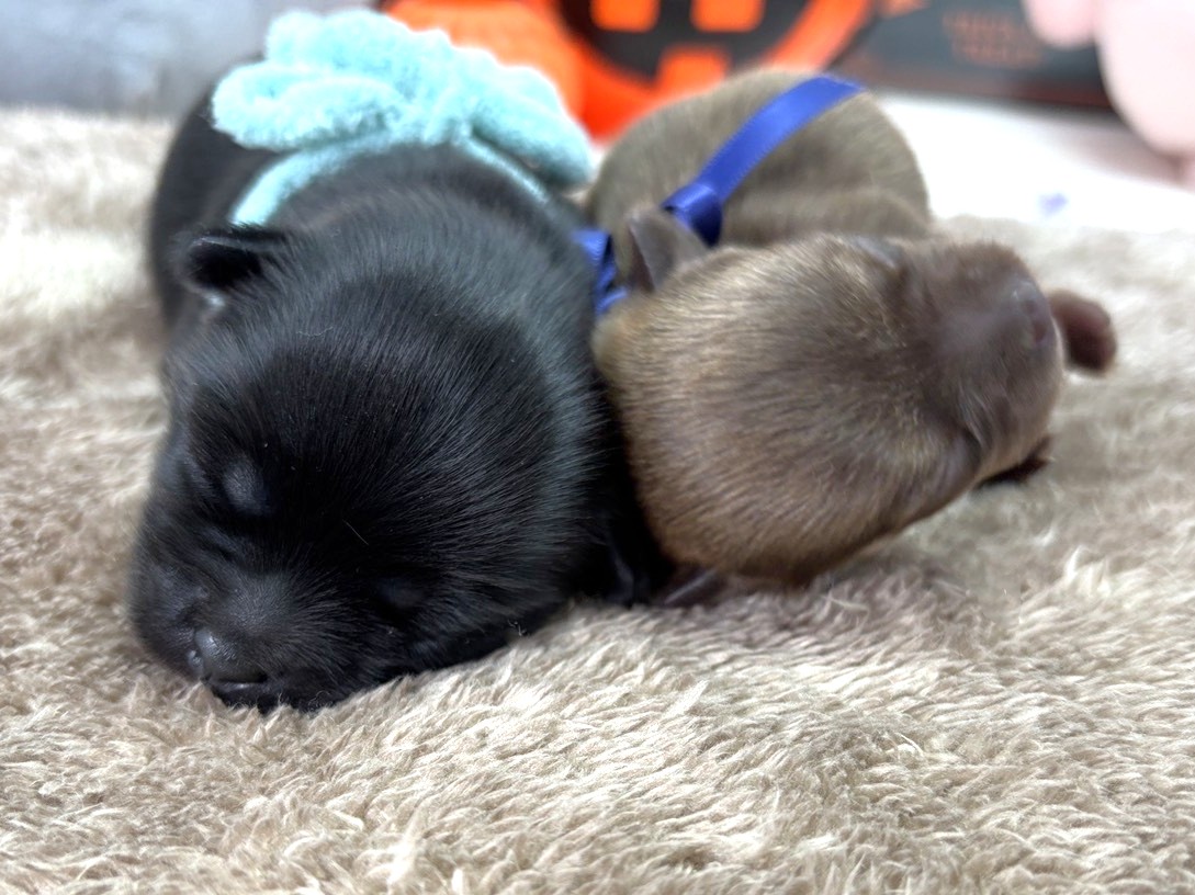 赤ちゃん写真1-3