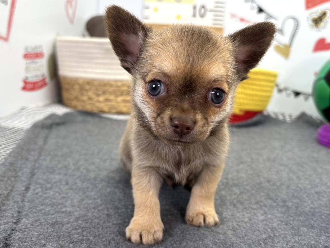 赤ちゃん写真2-1