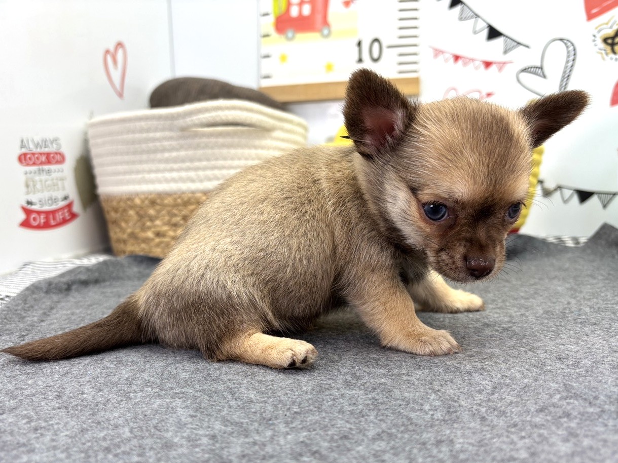 赤ちゃん写真2-2