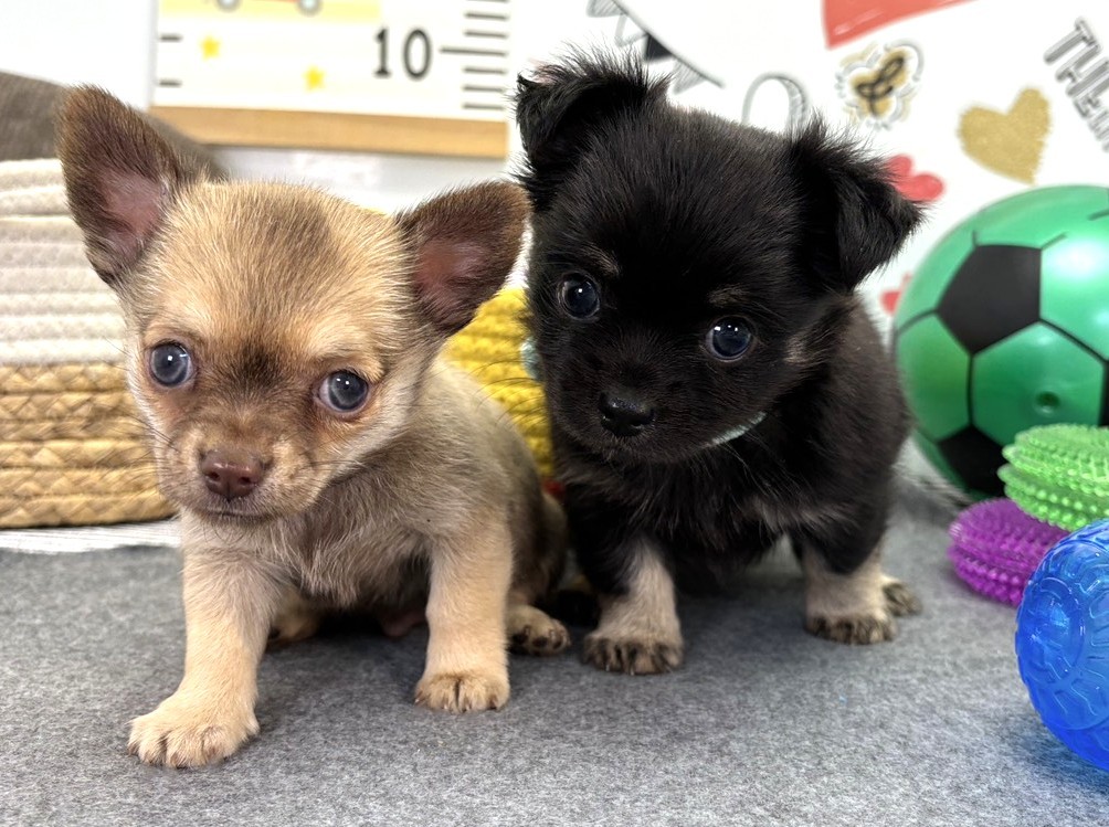 赤ちゃん写真2-3